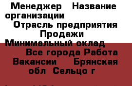 Менеджер › Название организации ­ Holiday travel › Отрасль предприятия ­ Продажи › Минимальный оклад ­ 35 000 - Все города Работа » Вакансии   . Брянская обл.,Сельцо г.